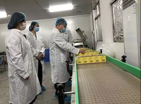 齊心抗疫，確保質(zhì)量！光華公司振隆廠外車間接受廣藥集團(tuán)生產(chǎn)監(jiān)督保障小組工作督導(dǎo)