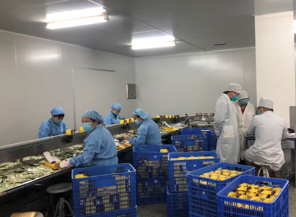 【初心如磐，使命在肩】光華第三黨支部組織員工提前復(fù)工保障生產(chǎn)